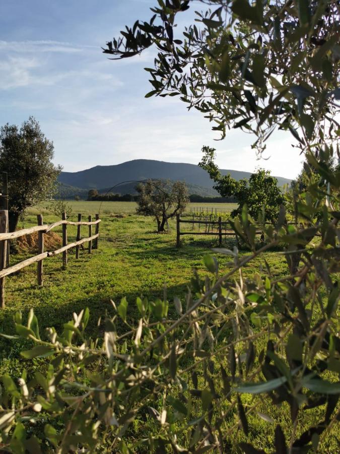 Podere Montecorno Alberese Exterior photo