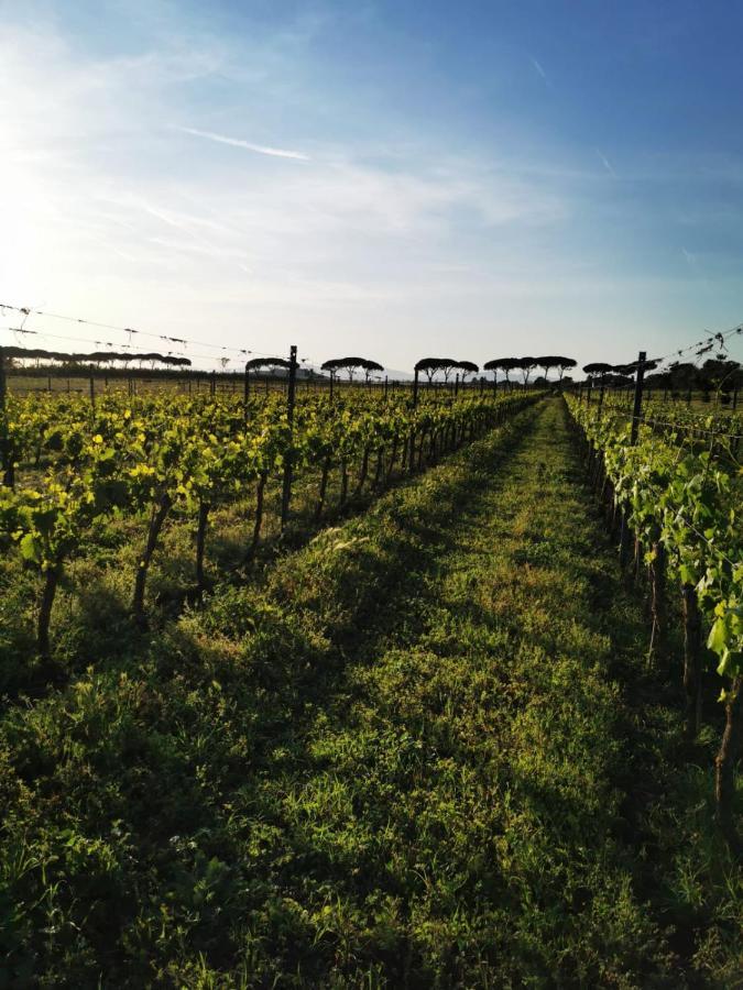 Podere Montecorno Alberese Exterior photo